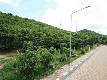 ขายที่ดิน บนเกาะล้าน เนื้อที่ 3 ไร่ 3 งาน 66 วา เหมาะทำคาเฟ่ รีสอร์ท สปา 