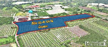 ที่ 31 ไร่ หน้ากว้าง 133 เมตร ราคาคุ้มสุดในตลาดเชื่อมต่อหลายเส้นทาง ถนนสวนส้ม บางปลา พระราม 2