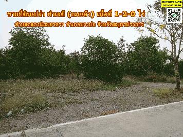 ขายที่ดินเปล่า ทำเลดี (ถมแล้ว) ตำบลคลองนิยมยาตรา อำเภอบางบ่อ จังหวัดสมุทรปราการ 