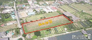 ขายที่อนาคตดี 10ไร่ ในราคาโปรโมชั่น ใกล้กับแนวขยายเส้นกัลปพฤกษ์ ติด ถ.เลียบคลองหมื่นปรารมย์ - บางบอน 5 - ขายที่ดินสมุทรสาคร - KK2174S