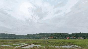 ที่ดิน / ที่นา 7 ไร่ 3 งาน 74 ตร.ว วิวดอยหลวงชัดเจน หน้ากว้างยาว ติดลำเหมือง ติดถนน 