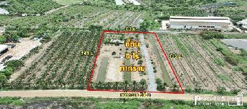 ที่สวย 5 ไร่ สร้างโรงงานใหญ่ได้ถึง 5,000 ตร.ม.อย่างลงตัว พร้อมระบายน้ำลงคลองด้านหลังได้ทันที ใกล้ ถ.พระราม 2 และอีก 2 ถนนหลัก