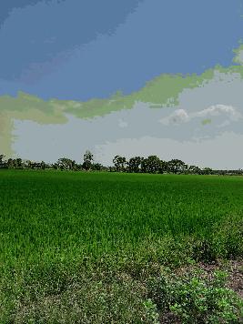 001ที่ดิน22ไร่ลาดบัวหลวง จ.อยุธยา