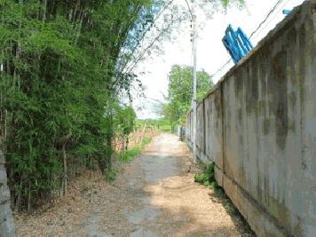 ขายที่ดินแปลงสวยราคาถูกที่สุดในโซนนี้ ใกล้ชุมชนใกล้ถนนใหญ่ เข้าง่ายออกสะดวก   เหมาะสำหรับทำรีสอร์ท