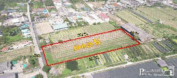 ขายที่ดิน อนาคตดี 10 ไร่ ในราคาโปรโมชั่น ใกล้แนวขยาย เส้นกัลปพฤกษ์ ติด ถ.เลียบคลอง หมื่นปรารมย์ ใกล้สายสี่ตัดใหม่-บางบอน 5 - ขายที่ดินสมุทรสาคร - KK2174S