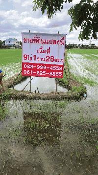 ขายที่ดิน 9 ไร่  1  งาน  28 ตารางวา ติดถนนคลองโยง