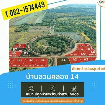 3แปลงสุดท้ายสภาพนางฟ้าโซนหน้าสวนที่บ้านสวนคลอง14