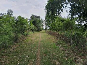 ขายที่ดิน 0-2-0 THB700,000 ต.หนองนาคำ, อ.เมือง, จ.อุดรธานี