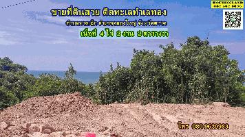 ขายที่ดินสวย ติดทะเล  4 ไร่ 2 งาน 2 ตารางวา - ตำบลหาดเล็ก อำเภอคลองใหญ่ จังหวัดตราด 