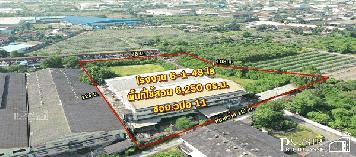 โรงงาน 6 ไร่เศษ พื้นที่สีม่วง พื้นที่ใช้สอยกว่า 6,250 ตร.ม. ใบอนุญาตพร้อม+ออฟฟิศ หม้อแปลง 500 KVA สามารถต่อเติมเพิ่มได้บนที่เปล่ากว่าครึ่ง