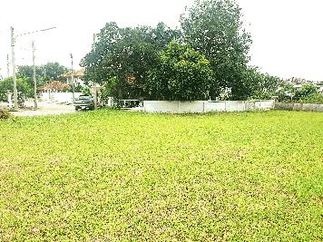 ราคาพิเศษสุดๆ ราคาต่ำกว่าประเมิน ที่ดินเปล่า 145 ตร.ว. ใน มบ.เดอะลากูน 3 สามโคก ปทุมธานี