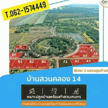 แปลงเด่นฟรีดอกบ้านสวนคลอง14 T.062-1574449