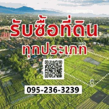 รับซื้อที่ดินเปล่า ที่ดินจะหลุดจำนอง ขายฝาก  จังหวัดพระนครศรีอยุธยา และใกล้เคียง