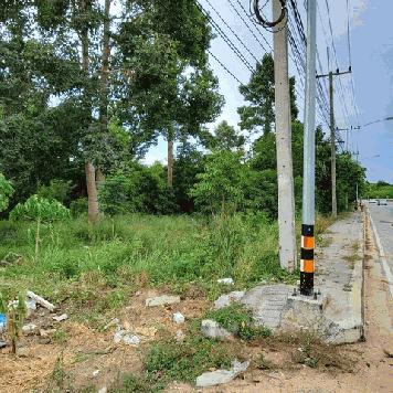 ขายที่ดินติดกันหลายแปลง ซื้อทั้งหมดหรือแบ่งซื้อบางส่วนได้แล้วแต่ตกลงกัน ทำเลดี สัตหีบ ชลบุรี