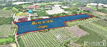 ขาย ที่ 31 ไร่ หน้ากว้างมาก 133 เมตร ราคาคุ้มสุดในตลาด เชื่อมต่อหลายเส้นทาง ถนนสวนส้ม บางปลา และพระราม 2