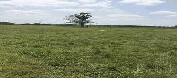 ขายที่ดิน 9 ไร่เศษ เหมาะกับคนรักสงบ เดินทางได้หลากหลายเส้นทาง ใกล้ความเจริญ และตัวเมืองนครศรีธรรมราช - KK3238S