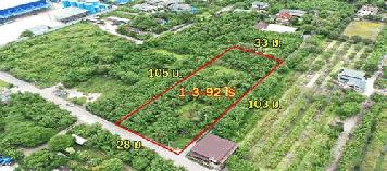 ที่สวยใช้ทำโกดัง / ซื้อทำกำไร เกือบ 2 ไร่ ฮวงจุ้ยดีทางทิศใต้รับลมตลอดปี ใกล้ถนน สายใยรัก ถนนตัดใหม่กัลปพฤกษ์ – พุทธสาคร kk5101s