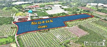 ที่ 31 ไร่ หน้ากว้าง133 เมตร ราคาคุ้มสุดในตลาดเชื่อมต่อหลายเส้นทาง ถนนสวนส้ม บางปลา พระราม 2