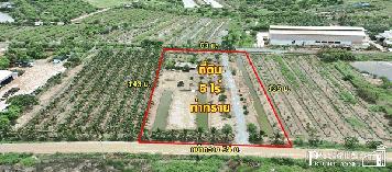 ที่ดิน 5 ไร่ สร้างโรงงานใหญ่ได้ถึง 5,000 ตร.ม.อย่างลงตัว พร้อมระบายน้ำลงคลองด้านหลังได้ทันที