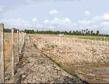 ที่ดิน 1 ไร่เศษ ถมแล้ว คลอง 15 บางน้ำเปรี้ยว ฉะเชิงเทรา