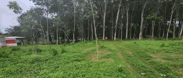 ขายที่ดินทำเลสวย บรรยากาศดี อำเภอเมือง กระบี่