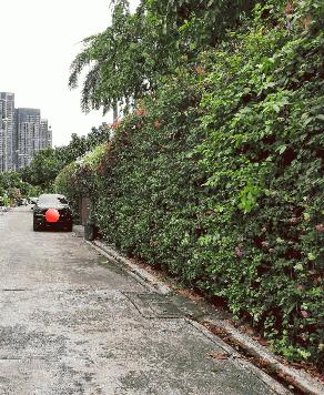 ขายที่ดิน ถนนสุขุมวิท101/1 วชิรธรรมสาทิต  191 ตร.ว แปลงสี่เหลี่ยมหน้ากว้าง  เข้าจากถนนสุขุมวิทนิดเดียว ใก้ลรถไฟฟ้าสถานีปุณณวิถี ห้างทรูดิจิตอลพาร์ค