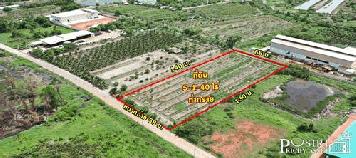 ขายที่สวย 5 ไร่ สร้างโรงงานใหญ่ ได้ถึง 5,000 ตร.ม. พร้อมระบายน้ำลงคลองด้านหลัง ได้ทันที และใกล้ ถ.พระราม 2 และอีก 2 ถนนหลัก - KK3692S