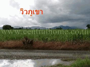 ที่ดิน วิวภูเขา 17 - 3 - 90 ไร่ อุดมธัญญา ตากฟ้า นครสวรรค์