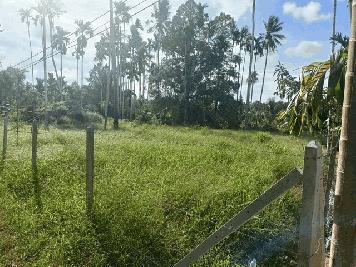 ขายที่ดิน 1 ไร่ 1 งาน 80 ตารางวา ตำบล หาดพันไกร อ. เมือง  จ. ชุมพร ( เจ้าของขายเอง )