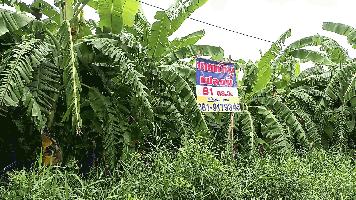 ขายที่ดินทำเลดี  เหมาะสำหรับใช้ประโยชน์เอนกประสงค์  อำเภอเมือง ปทุมธานี