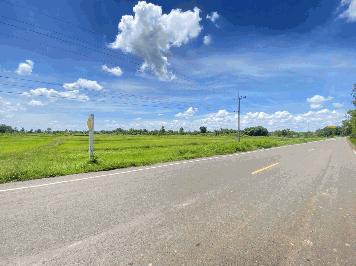 ขายที่ดินจังหวัดบุรรัมย์ ด้านหน้าติดทางหลวงชนบท บร.3021ด้านข้างที่ดินมีถนน หินคลุก