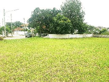 ราคาพิเศษสุดๆ ราคาต่ำกว่าประเมิน ที่ดินเปล่า 145 ตร.ว. ใน มบ.เดอะ  ลากูน 3 สามโคก ปทุมธานี