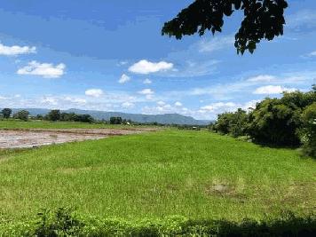 ขายที่ดิน ที่นา 8 ไร่ 1งาน 41ตารางวา เหมาะสำหรับใช้ประโยชน์เอนกประสงค์ อำเภอเมืองเพชรบูรณ์ เพชรบูรณ์