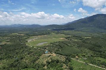 ขายที่ดินสวนทุเรียนโซนโฮมสเตย์  ทุ่งเพล  ทำเลดี จ.จันทบุรี