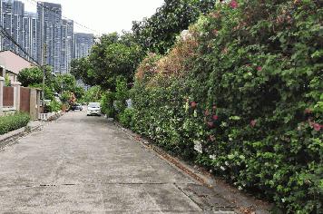ขายที่ดิน ถนนสุขุมวิท101 วชิรธรรมสาทิต  191 ตร.ว เข้าจากถนนสุขุมวิทนิดเดียว ใก้ลรถไฟฟ้าสถานีปุณณวิถี  เหมาะอยู๋อาศัยหรือทำธุรกิจได้  