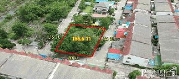 ที่สวย ปลูกบ้าน/โกดังขนาดเล็ก 186.6 วา สะดวก ติดถนน 3 ด้าน ในซอย ค่ายกำแพงเพชร ใกล้ เศรษฐกิจ และพุทธสาคร