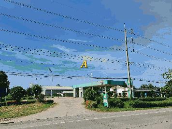 ขายที่ดินติดถนนทางหลวง 340 ตำบลแพรกศรีราชา อำเภอสรรคบุรี จังหวัดชัยนาท 