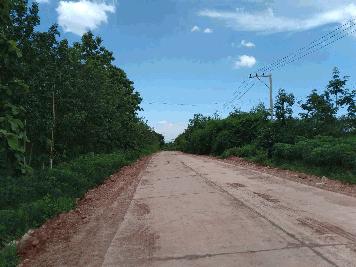 ขายที่ดิน 22-3-61 THB3,435,375 ขอนยูง, กุดจับ, อุดรธานี