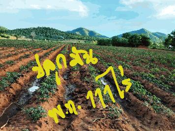 ขายที่ดิน 111-0-0 THB13,875,000 ต.แก่งเสี้ยน, อ.เมือง, จ.กาญจนบุรี
