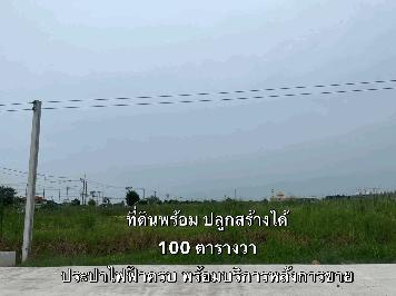 ขายด่วนแปลงเล็ก ติดถนน แหล่งชุมชน มีสาธารณูโภคน้ำประปาไฟฟ้าเข้าถึง