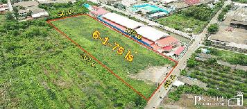 ที่สีม่วง ถมพร้อมใช้ 6 ไร่ สร้างโรงงานใหญ่ได้ทุกประเภท 7,000 ตร.ม. เทรลเลอร์เข้าออกสะดวก ใกล้ ถ . เศรษฐกิจ พุทธสาคร KK5114S