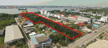 ที่ติดแม่น้ำท่าจีน 3-328 ไร่ เรือใหญ่ขนส่งสะดวก วิวสวย ติดถนนใช้รถเทเลอร์ได้ ราคาไม่แพง  KK2388S