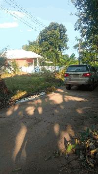 ขายที่ดิน 0-0-95 THB700,000 ลำภู เมือง หนองบัวลำภู