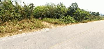 ขายที่ดิน 45 ไร่ ต.มะขามคู่ อ.นิคมพัฒนา จ.ระยอง