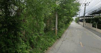 ขายที่ดิน 6 ไร่ คลองสาม อ.คลองหลวง จ.ปทุมธานี