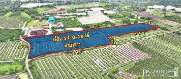 ขายที่ 31 ไร่ หน้ากว้างมาก 133 เมตร ราคาคุ้มสุด ในตลาดเชื่อมต่อหลายเส้นทาง ถนนสวนส้ม บางปลา พระราม 2