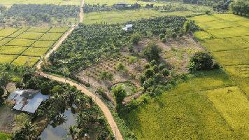 ขายที่ดินเปล่า ติดถนน ทำเลดี เหมาะสำหรับทำธุรกิจ ดอยสะเก็ด เชียงใหม่