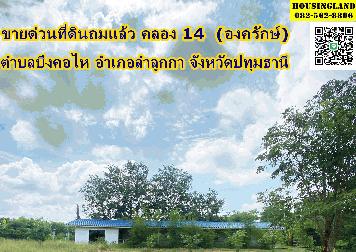 ขายด่วน ที่ดิน คลอง 14 รังสิต-นครนายก องครักษ์ ตำบลบึงคอไห อำเภอลำลูกกา จังหวัดปทุมธานี 