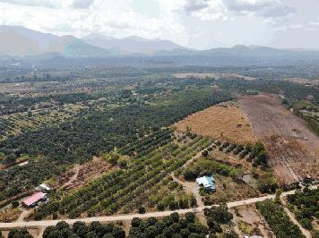ขายที่ดินสวนลำไยพร้อมบ้านพักหลังใหญ่ บรรยากาศดี ทำเลดี ติดถนน จ.จันทบุรี