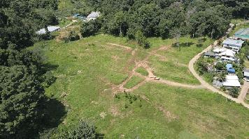 ขายที่สวยบนดอยสูง อากาศเย็นสบายตลอดปี แม่ริม เชียงใหม่ เจ้าของขายเอง